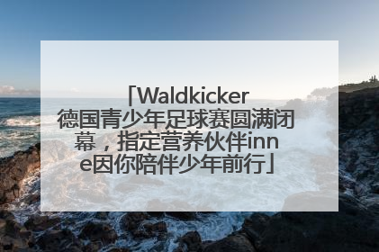 Waldkicker德国青少年足球赛圆满闭幕，指定营养伙伴inne因你陪伴少年前行