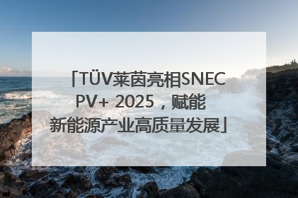 TÜV莱茵亮相SNEC PV+ 2025，赋能新能源产业高质量发展