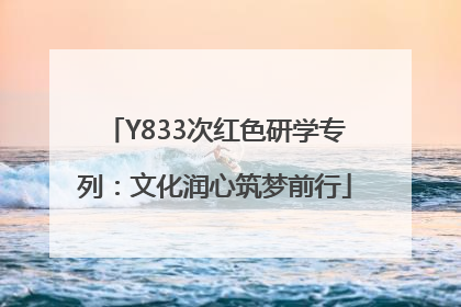 Y833次红色研学专列：文化润心筑梦前行